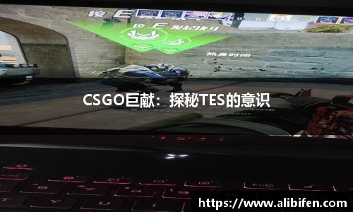mk体育官网